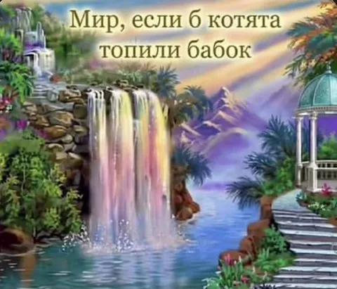 Мир, если б котята топили бабок