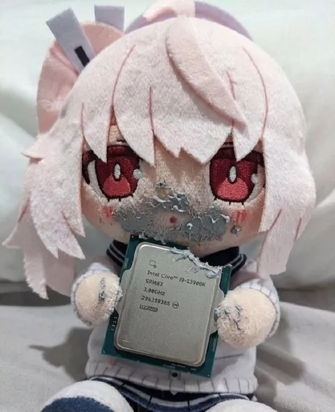 Anime Plush Holds a CPU