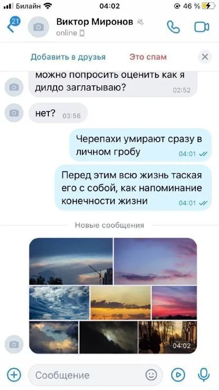 Черепахи и личный гроб