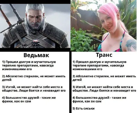 Ведьмак против транса