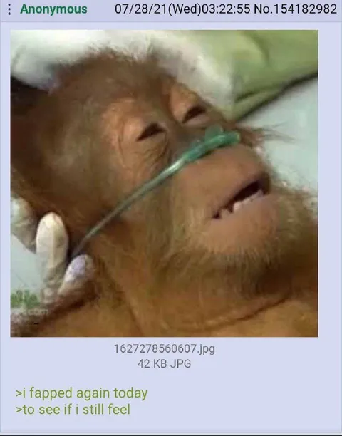 Fapped Again Today