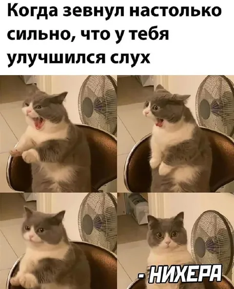 Когда звенит слишком сильно