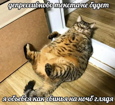 Депрессивного текста не будет