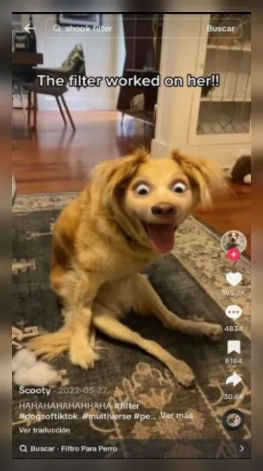 The Filter Worked on Her