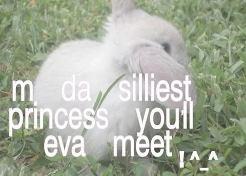 Silliest Princess You'll Eva Meet