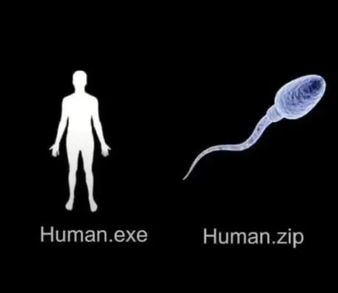 Human.exe vs Human.zip