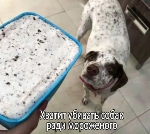 Собак убивают ради мороженого