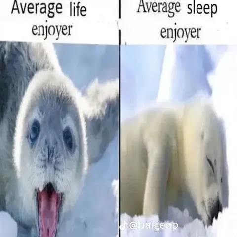 Average Life vs Sleep Enjoyer