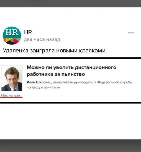 Удалёнка заиграла красками