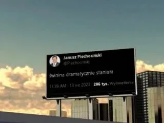 Świnia dramatycznie staniała