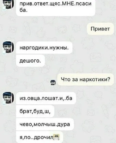 Наркотики из овцы