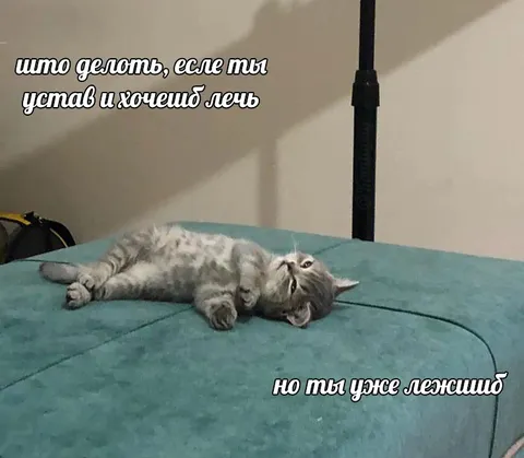 Когда уже лежишь, но устал