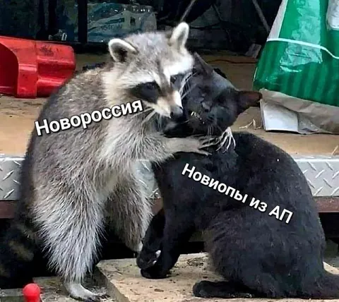 Новороссия обнимает новопылов