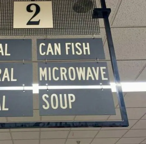 Can Fish Microwave Soup