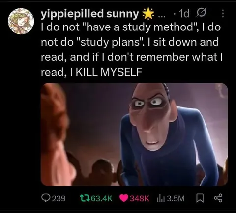 No Study Method, Just Panic