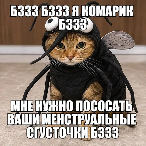 Кот-комар просит менструальные сгусточки