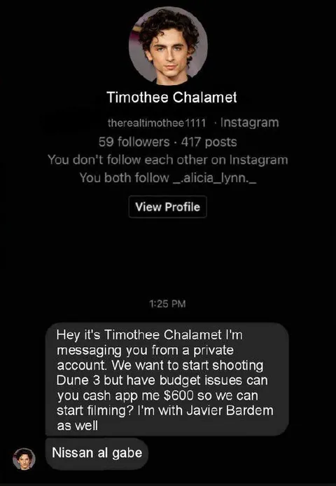 Timothée Chalamet Cash App Scam