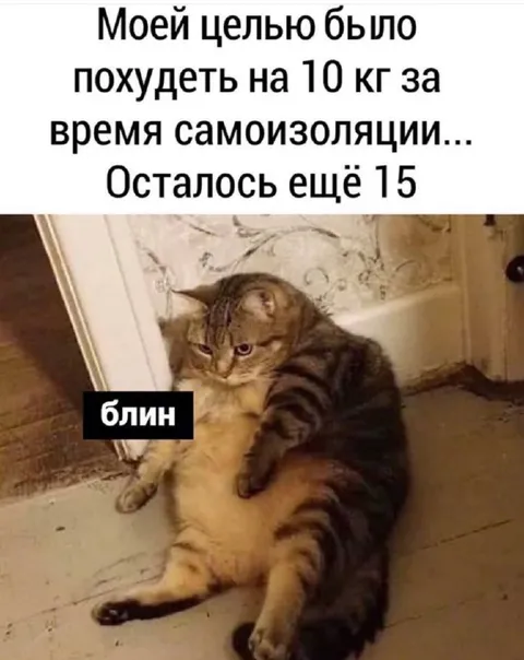 Похудеть на 10 кг за самоизоляцию