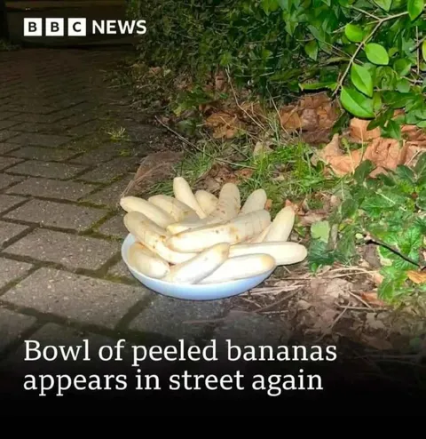 Bowl of Peeled Bananas Returns