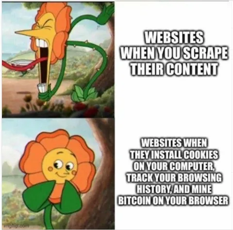 Websites When You Scrape Content
