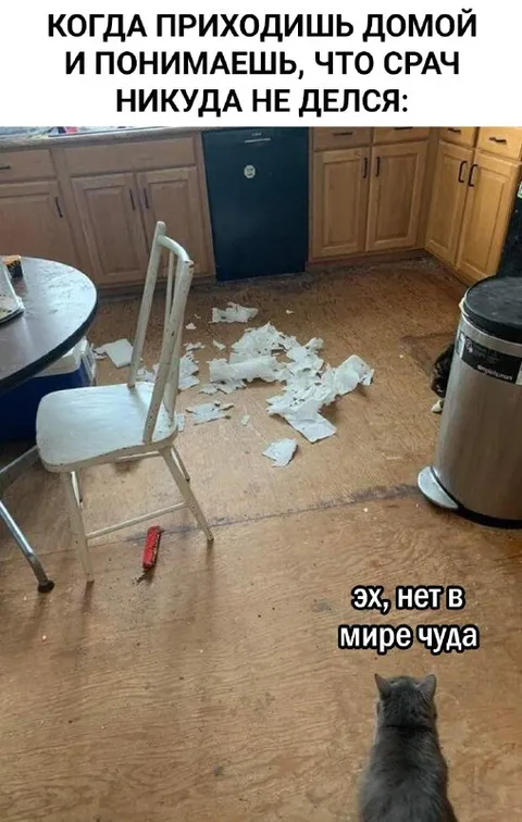 Когда чудо оказалось беспорядком