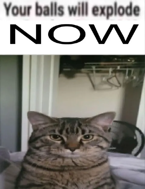 Your Balls Will Explode Now