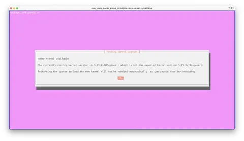 Pending Kernel Upgrade Warning