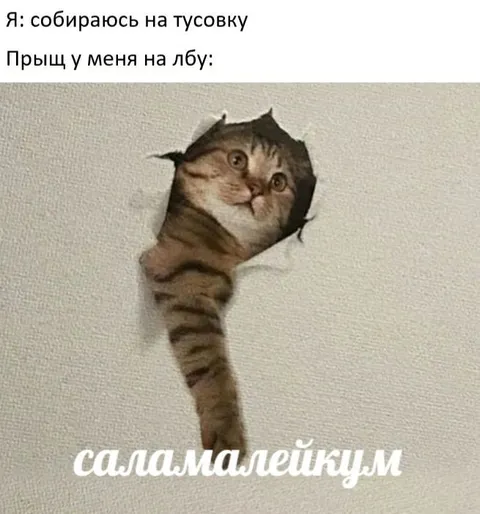 Прыщ перед тусовкой