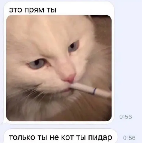 Это прям ты, но не кот