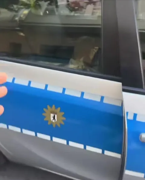 Katze im Polizeiauto entdeckt