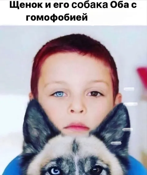 Щенок и собака с гомофобией