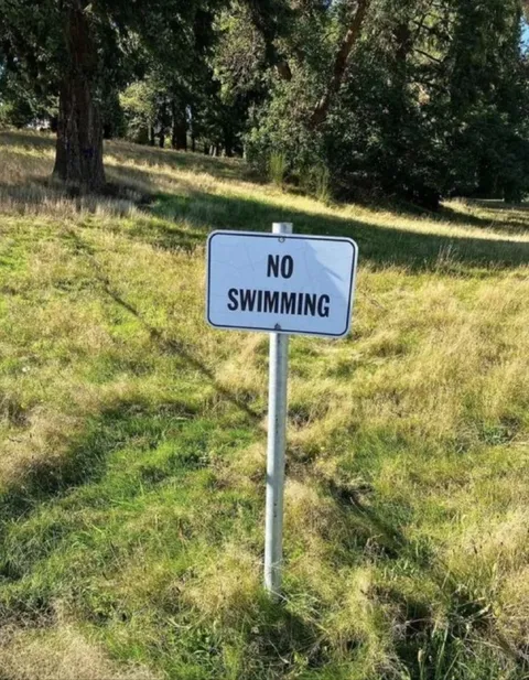 No Swimming in the Grass
