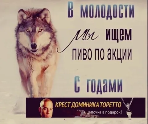 В молодости мы ищем пиво по акции