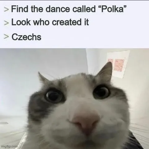 Czech Polka Discovery Cat