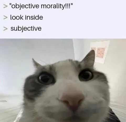 Objective Morality Look Inside