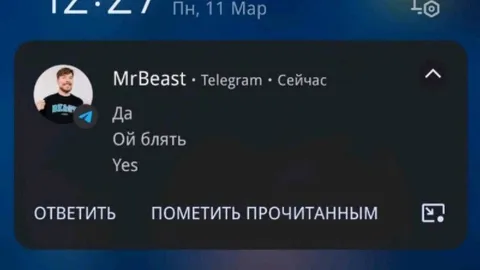 Да, ой блять, yes