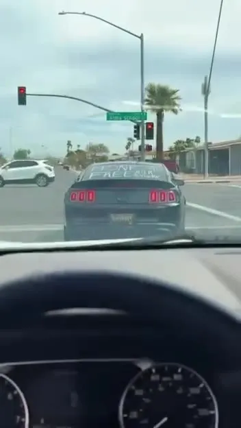 Following the Mustang Until the Splash