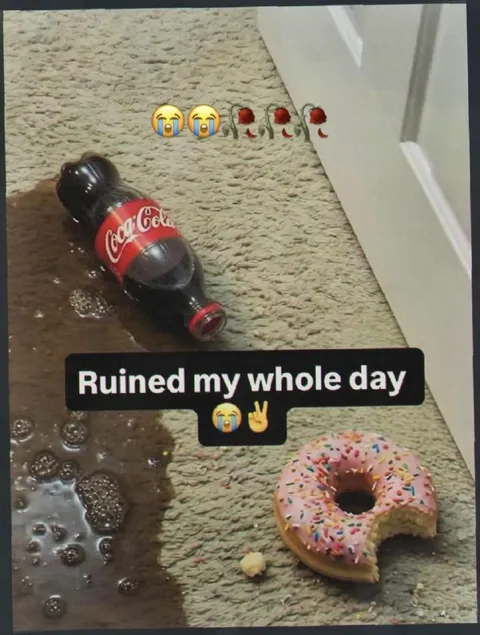 Ruined My Whole Day