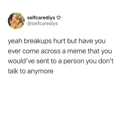 Meme You Can't Send Anymore