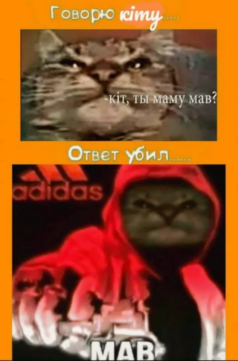 Кот ответил «мав»