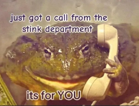 Frog Gets a Call