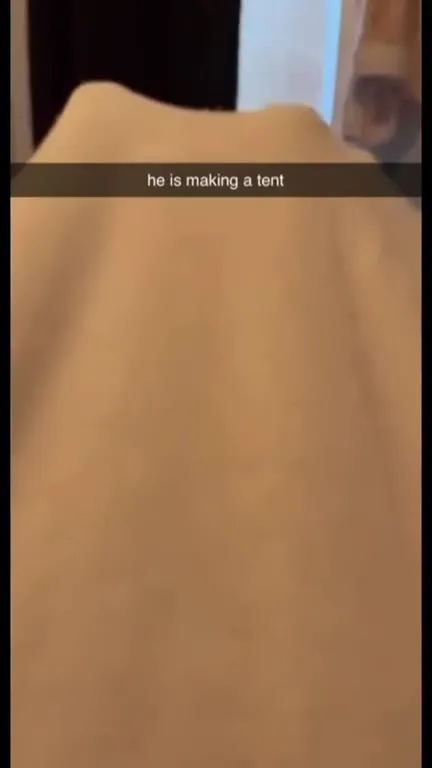 Cat Makes a Blanket Tent