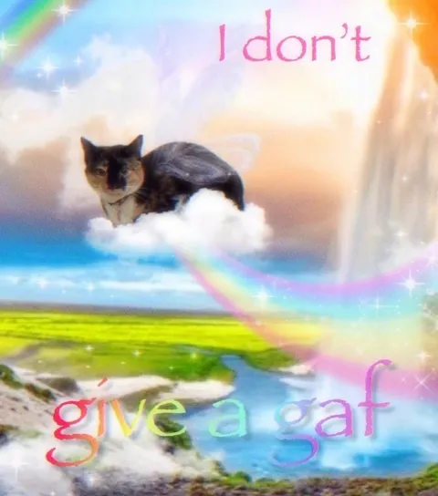 I Don't Give a Gát