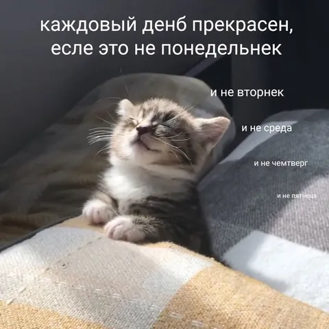 Прекрасный день кроме будней
