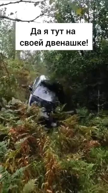 Двенашка покоряет лес