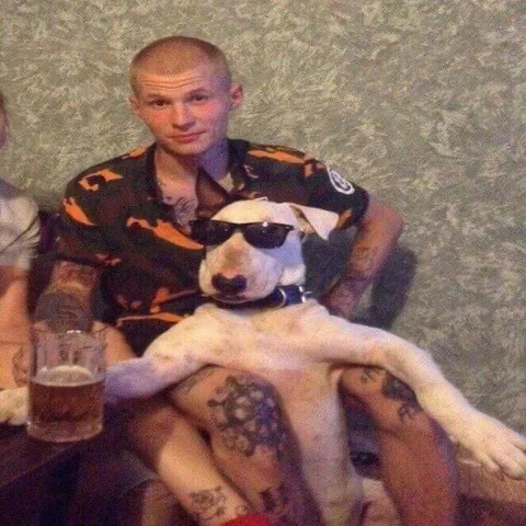 Пёс в очках на руках