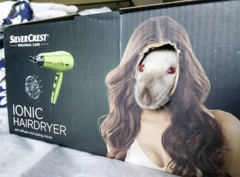 Hairdryer Model Has a Surprise