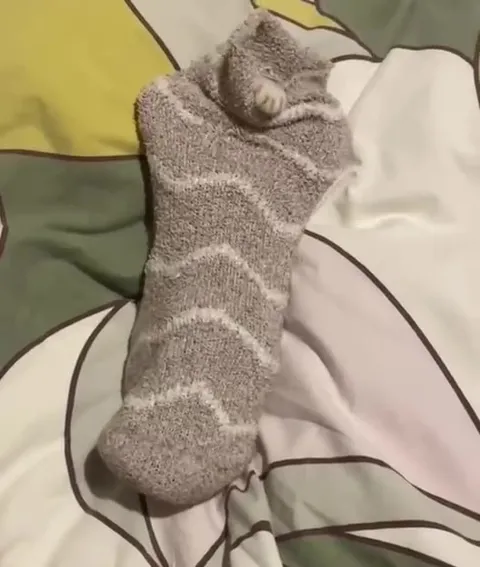 Котёнок в носке