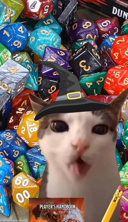 Wizard Cat Rolls for Snacks