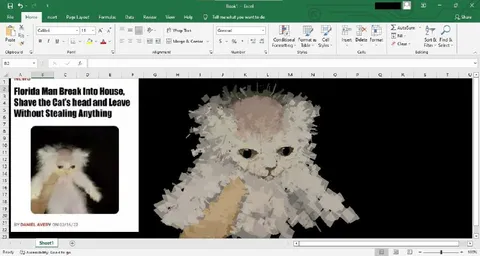 Florida Man Shaves Cat